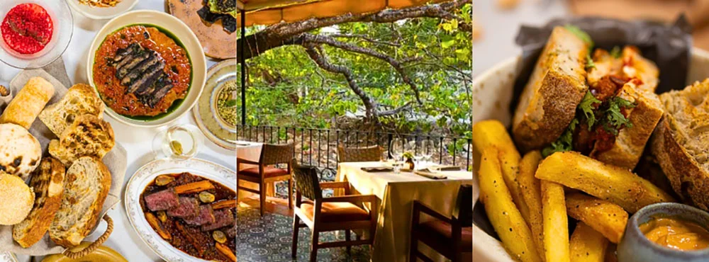 Tintoque Puerto Vallarta