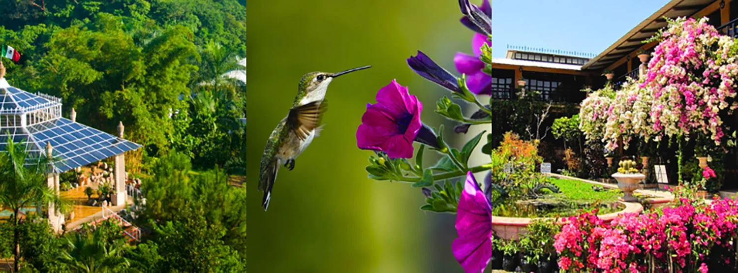 Puerto Vallarta Botanical Gardens