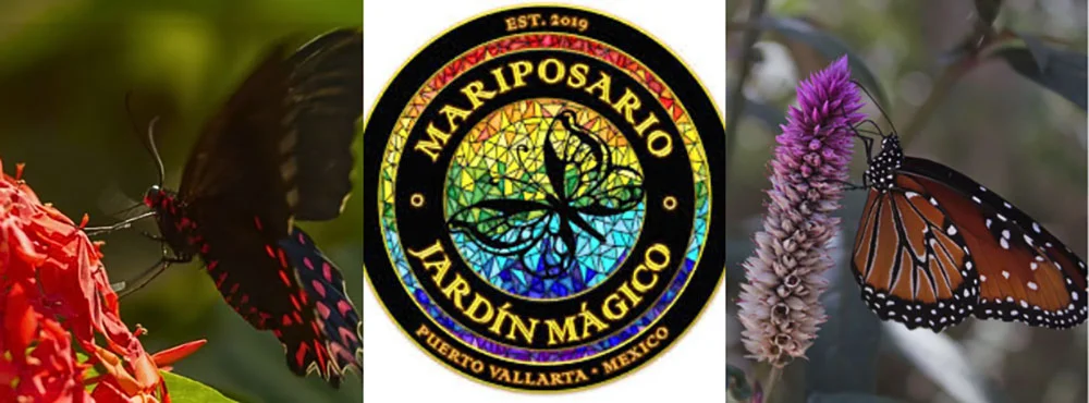 Butterfly Sanctuary Puerto Vallarta